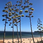 Casa Da Bisa * Sagres