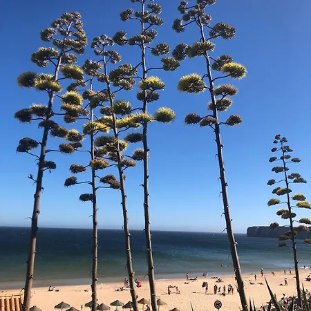Casa Da Bisa * Sagres