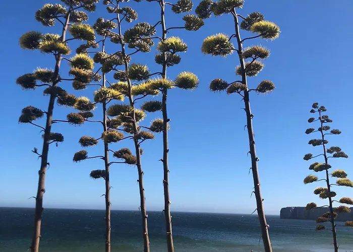 Casa Da Bisa * Sagres